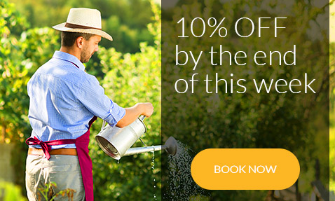  London customers gardening removal service offer book by the end of the week