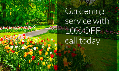  London offer gardening removal service with 10 gbp off call today