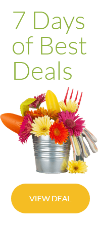 7 Days of Best Deals in London